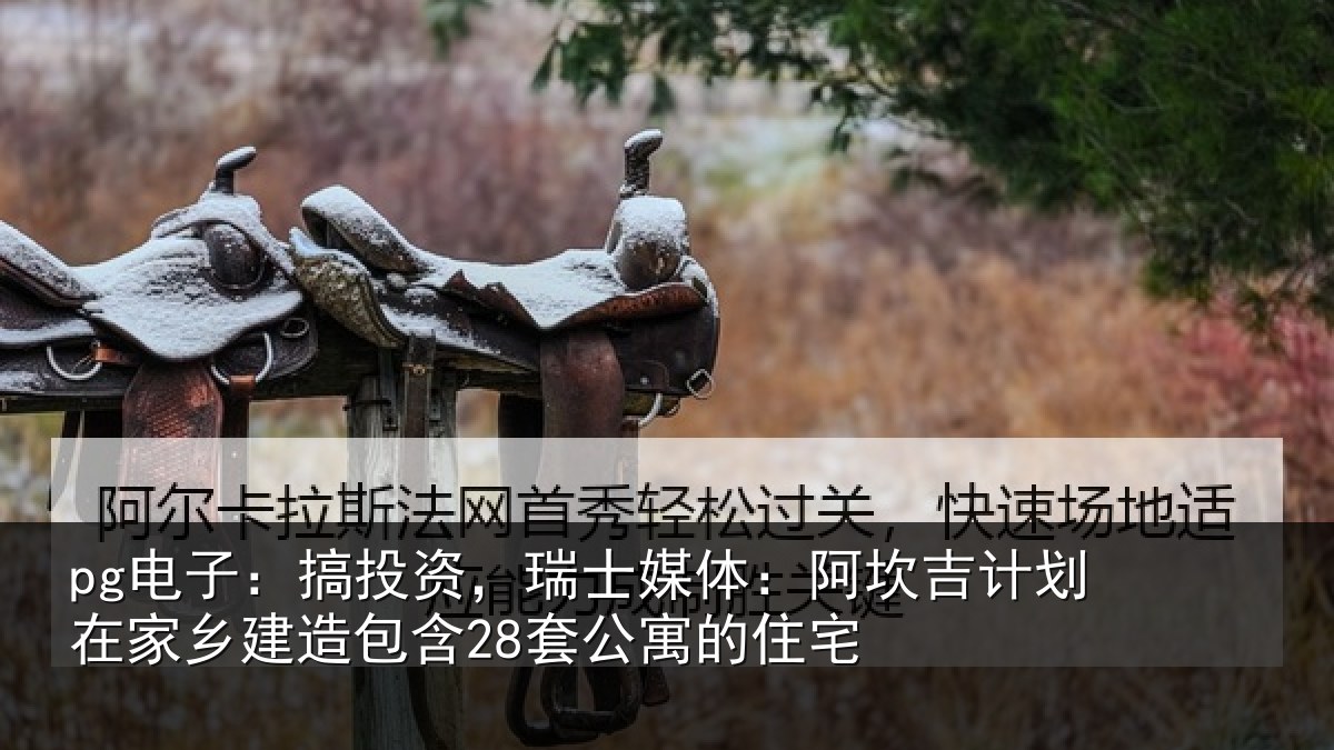 pg电子:搞投相关情况计划相关情况公寓的住宅
