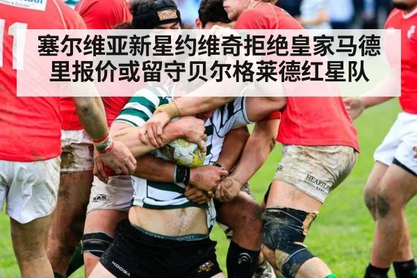 塞尔维亚新星约维奇拒绝皇家马德里报价或留守贝尔格莱德红星队