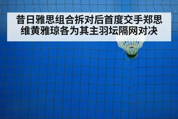 badminton net play
